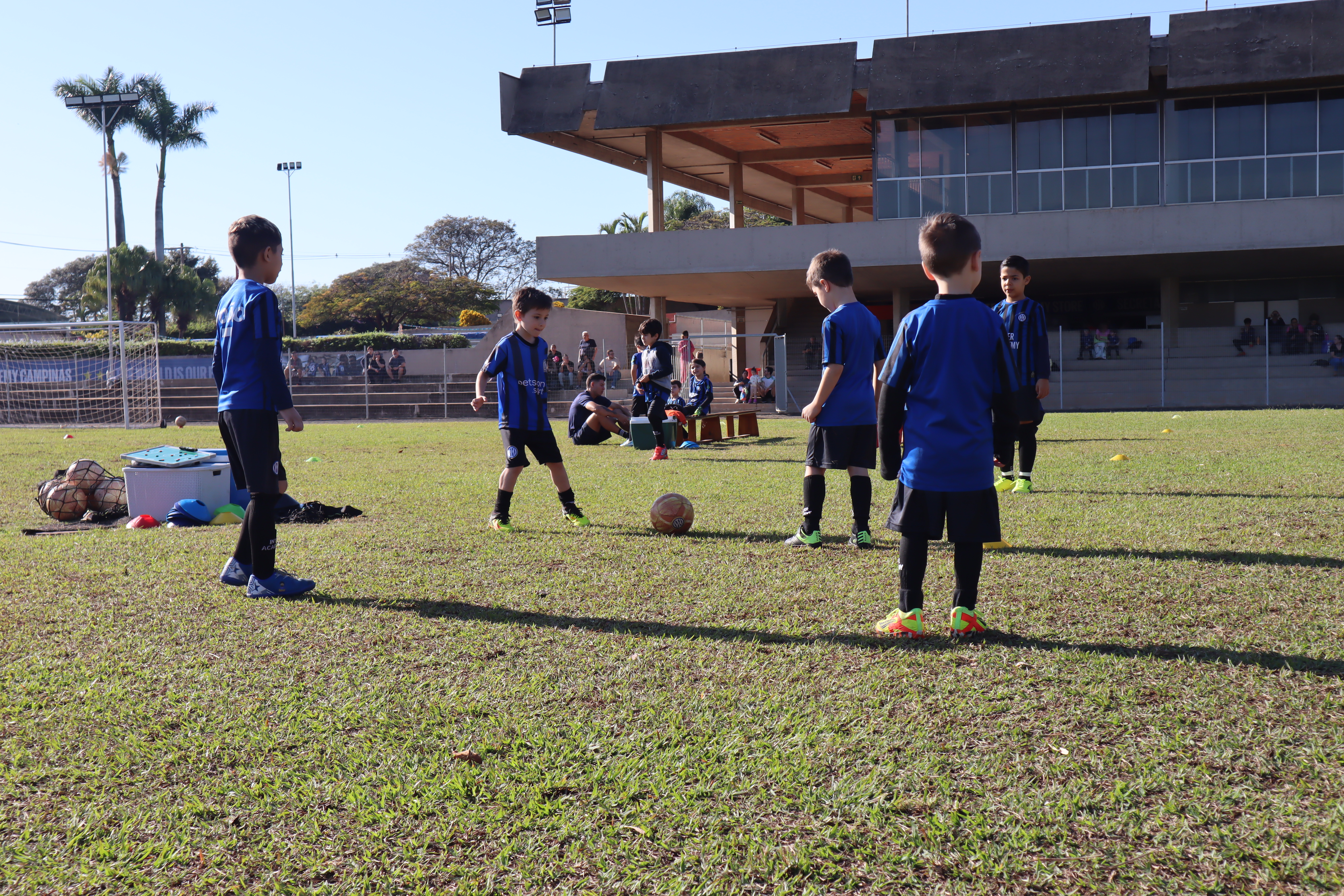 Treino 1